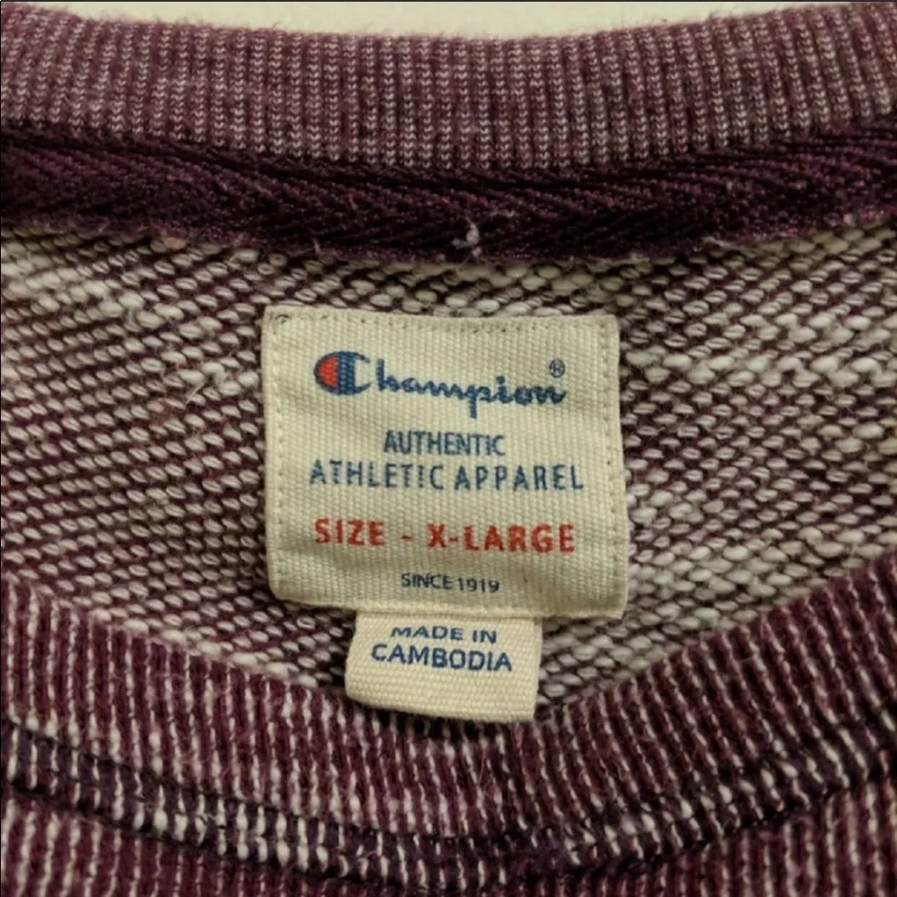 ⛱️Champion - Plum Marled Raglan Sweatshirt - XL